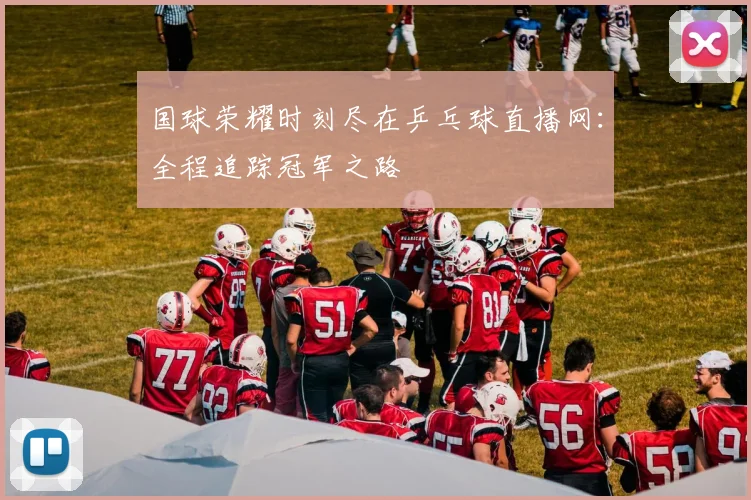 国球荣耀时刻尽在乒乓球直播网：全程追踪冠军之路