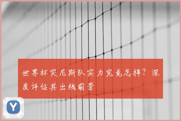 世界杯突尼斯队实力究竟怎样？深度评估其出线前景