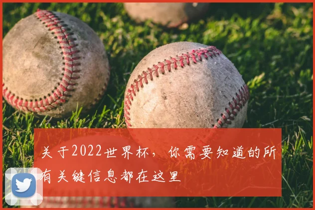 关于2022世界杯，你需要知道的所有关键信息都在这里