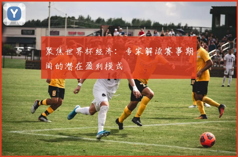 聚焦世界杯经济:专家解读赛事期间的潜在盈利模式