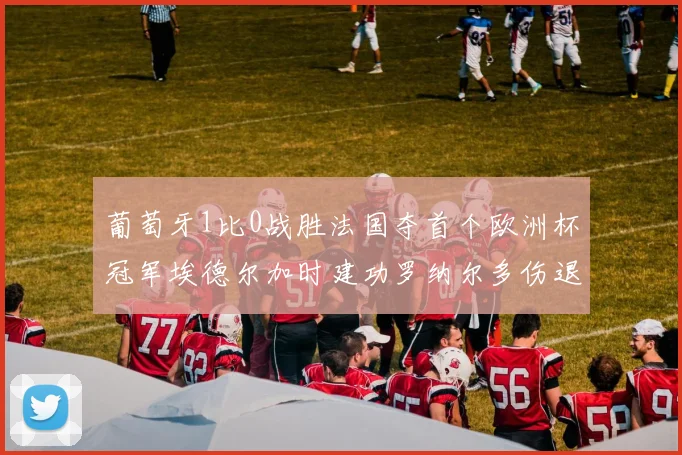葡萄牙1比0战胜法国夺首个欧洲杯冠军埃德尔加时建功罗纳尔多伤退
