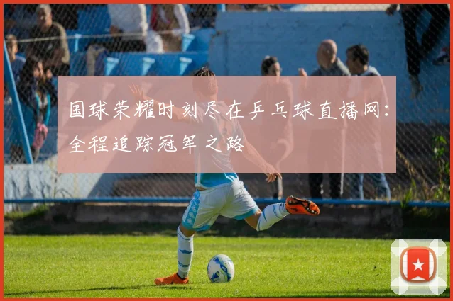 国球荣耀时刻尽在乒乓球直播网:全程追踪冠军之路